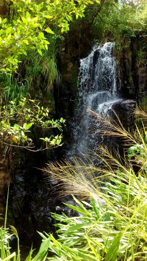 tablelands-waterfall